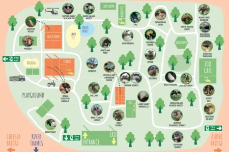 Battersea Park Children’s Zoo Map