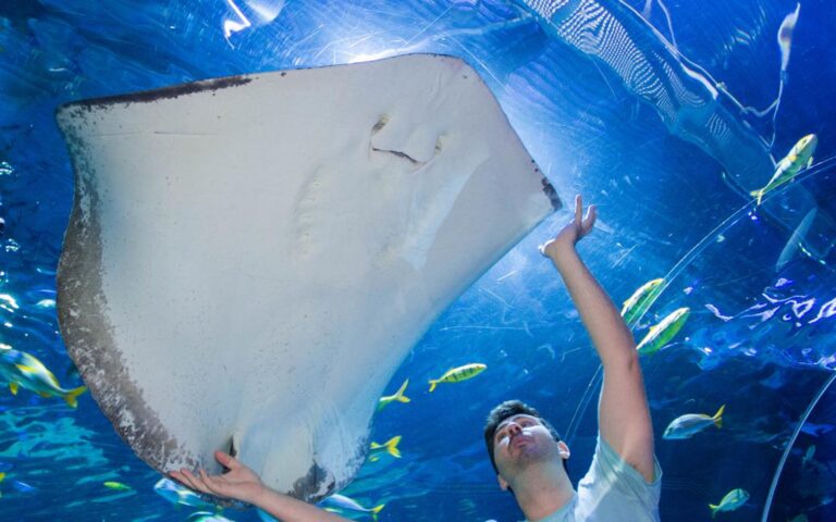 Blue Planet Aquarium