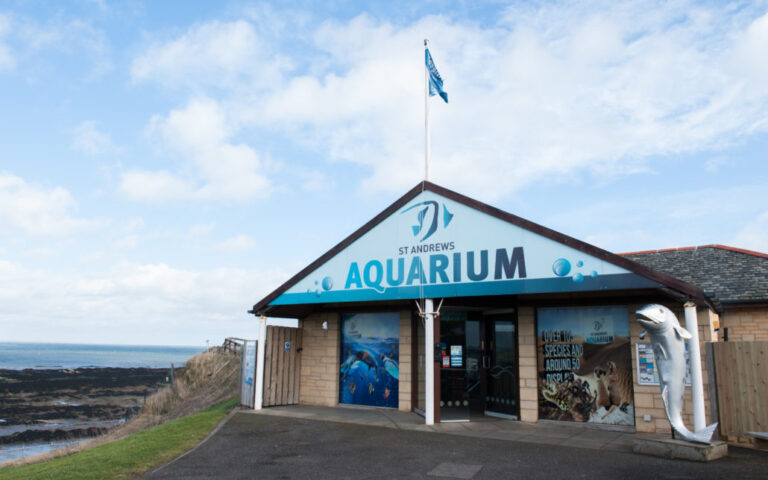 St Andrews Aquarium