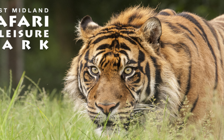 West Midland Safari Park