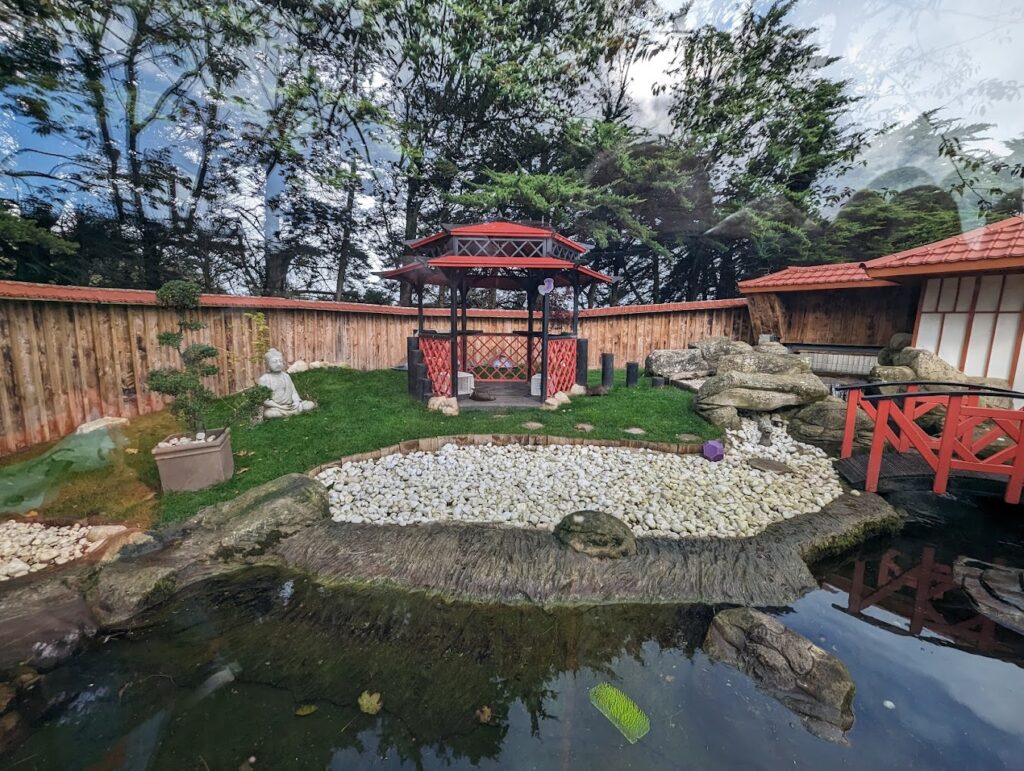 outside pond