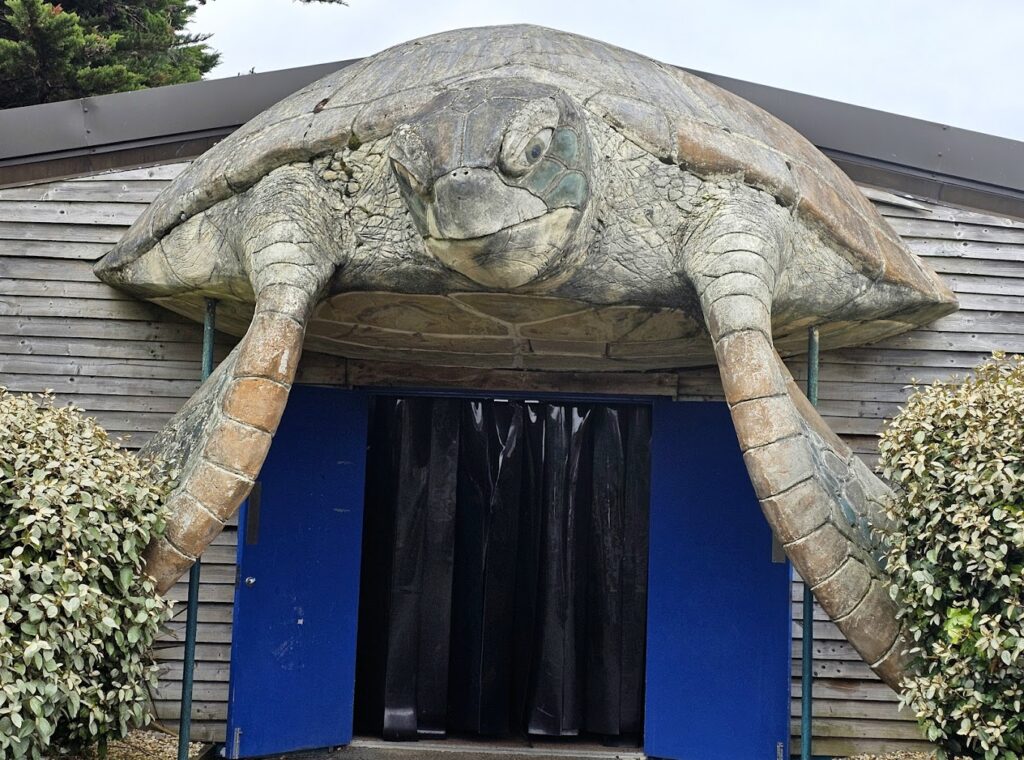 turtle house at Sea Life Centre Weymouth
