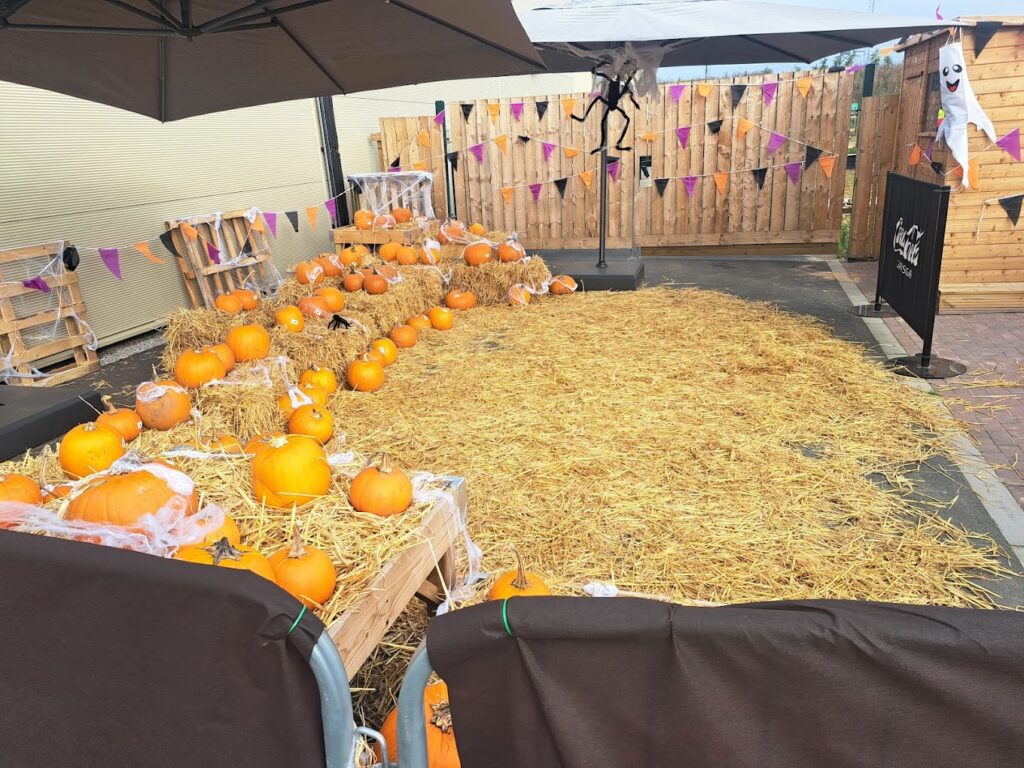 pumpkins at Grass Hoppers Indoor And Outdoor Play