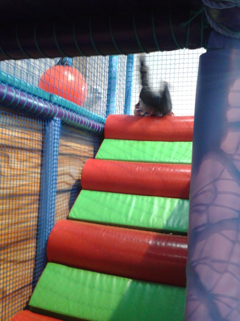 slide at Tumble Town Adventure Play
