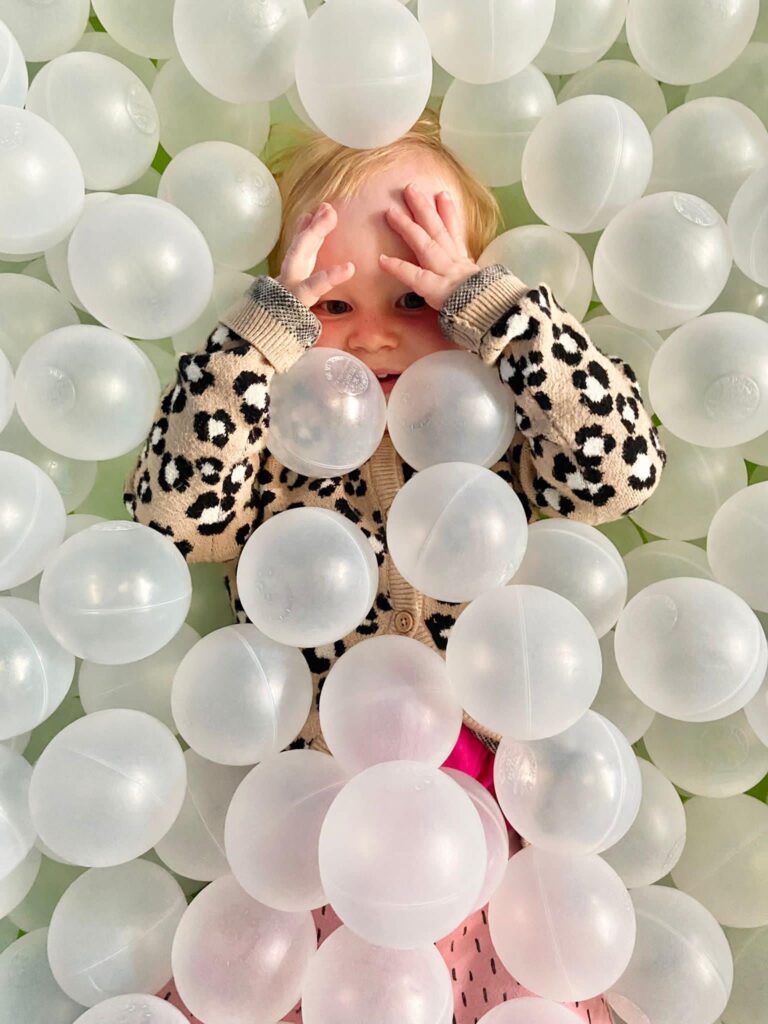 The Web Adventure Park Photos ball pit