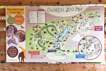 Map Of Colchester Zoo