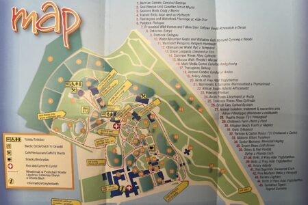 Welsh Mountain Zoo Map